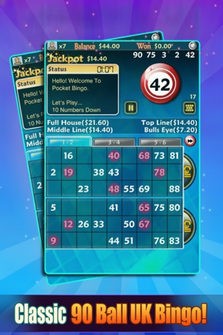Pocket Bingo — gameplay